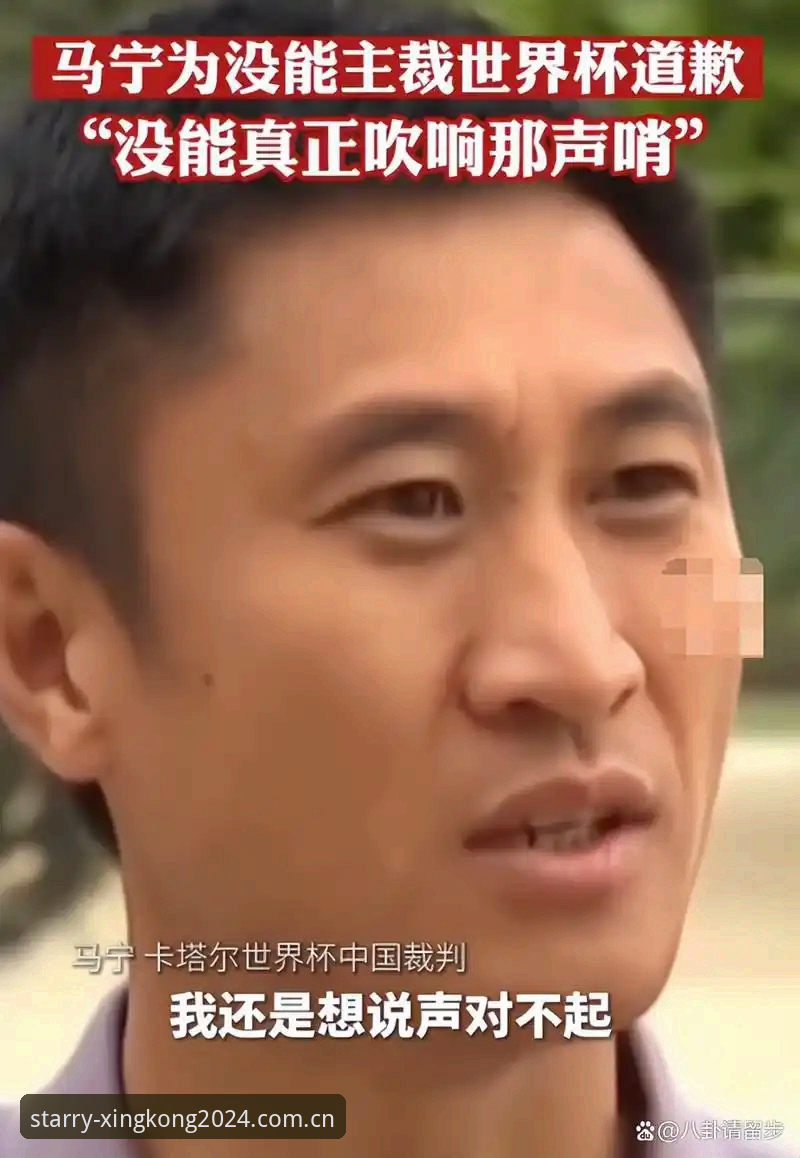 马宁的判罚桌上没有评论区——一个世界杯裁判的现实选择